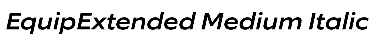 EquipExtended Medium Italic